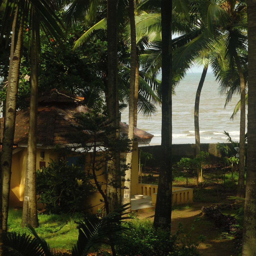 A tropical setting with a beach view, palm trees, and a building with a thatched roof.