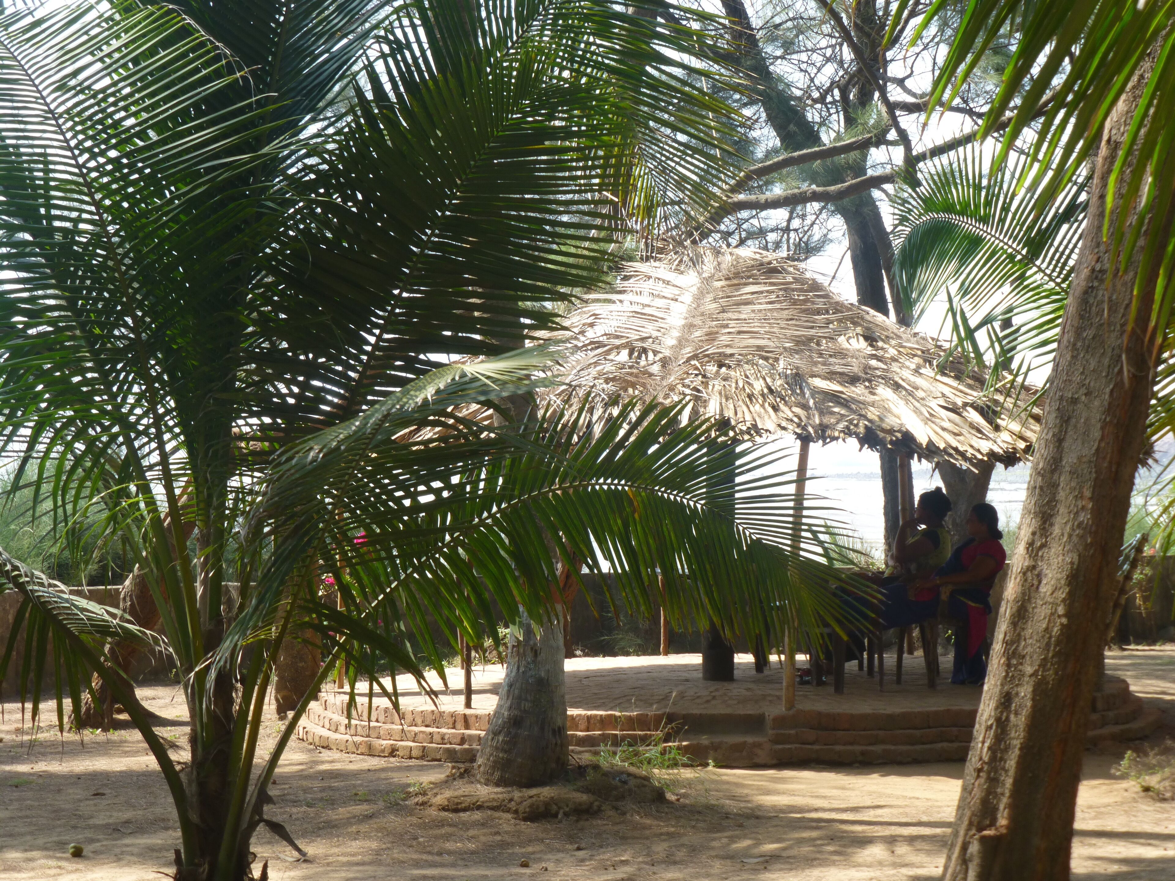 A palm tree with a thatched roof structure, possibly a gazebo, in a sandy outdoor area with steps leading up to it.