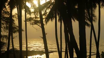 Escena de playa con palmeras y el océano.