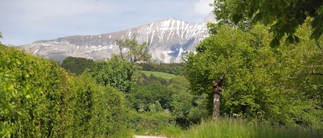 منوع