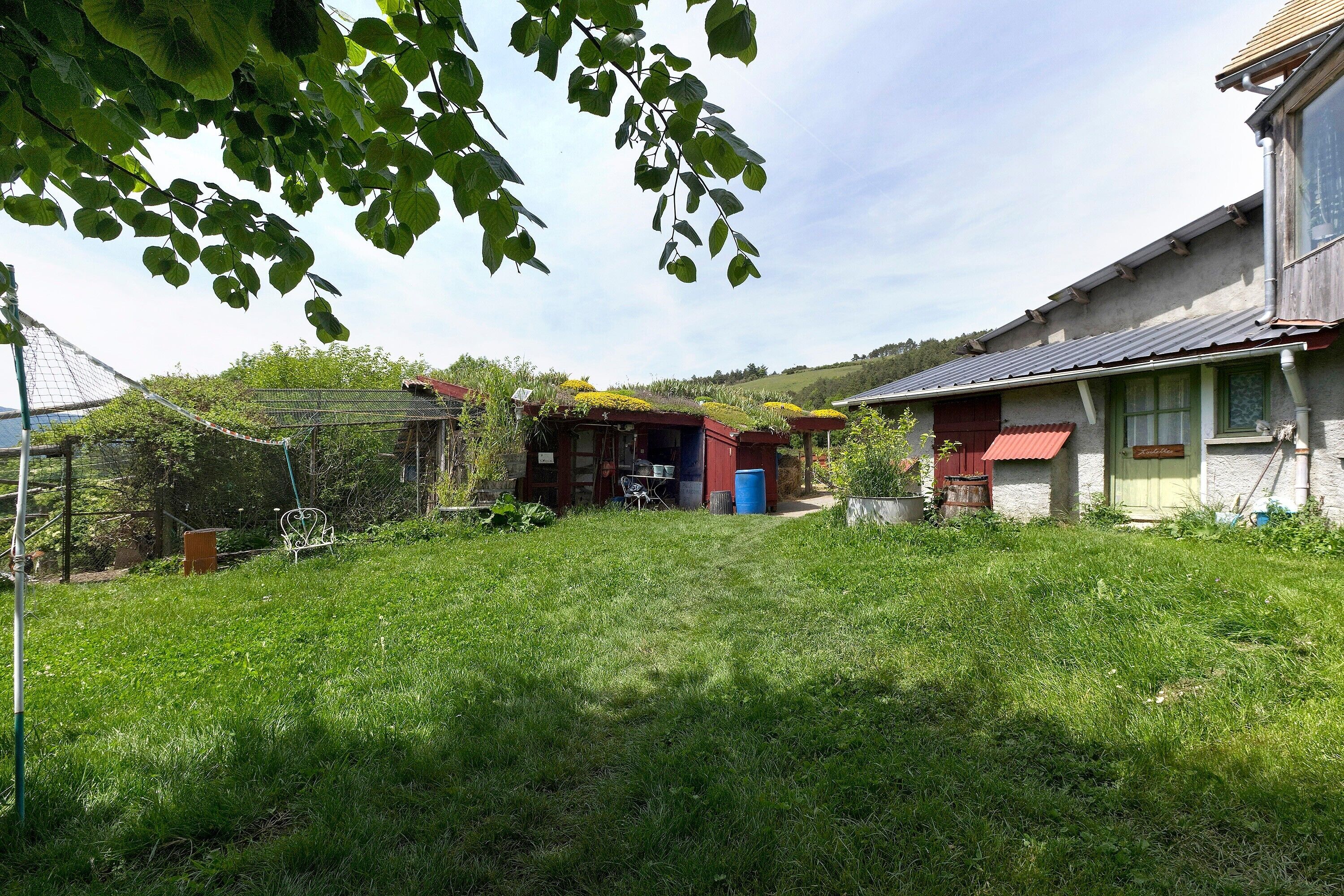 A grassy yard with a house, a blue barrel, and a metal chair.