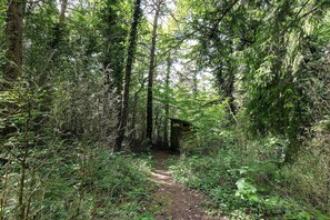 Property grounds - Kyrgyz Yurt in the Forest – Farm Stay (Prébois)