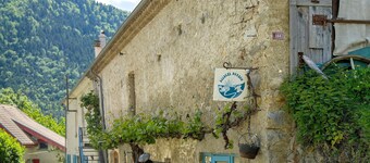 Yurta kirghisa nella foresta – accoglienza rurale