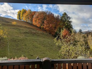 Property grounds - Comfort Double Room Type D with Balcony, Mountain View and Shared Terrace (Medebach)