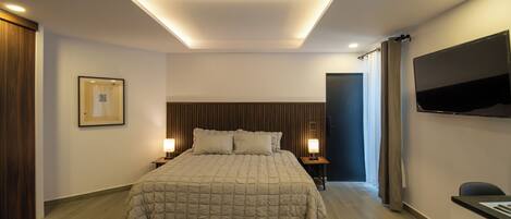 Studio, 1 Bedroom, Accessible