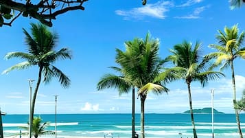 Căn hộ Cao cấp | Bãi biển | Trên bãi biển, cát trắng, dù trên bãi biển, bóng chuyền