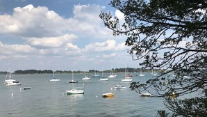 Ein Yachthafen mit verschiedenen Booten, die in ruhigem Wasser vor Anker liegen, umgeben von Bäumen und einer entfernten Küstenlinie.