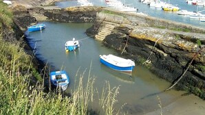 Un porto con diverse imbarcazioni ormeggiate in acque calme, circondato da coste rocciose e un paesaggio erboso con case sullo sfondo.
