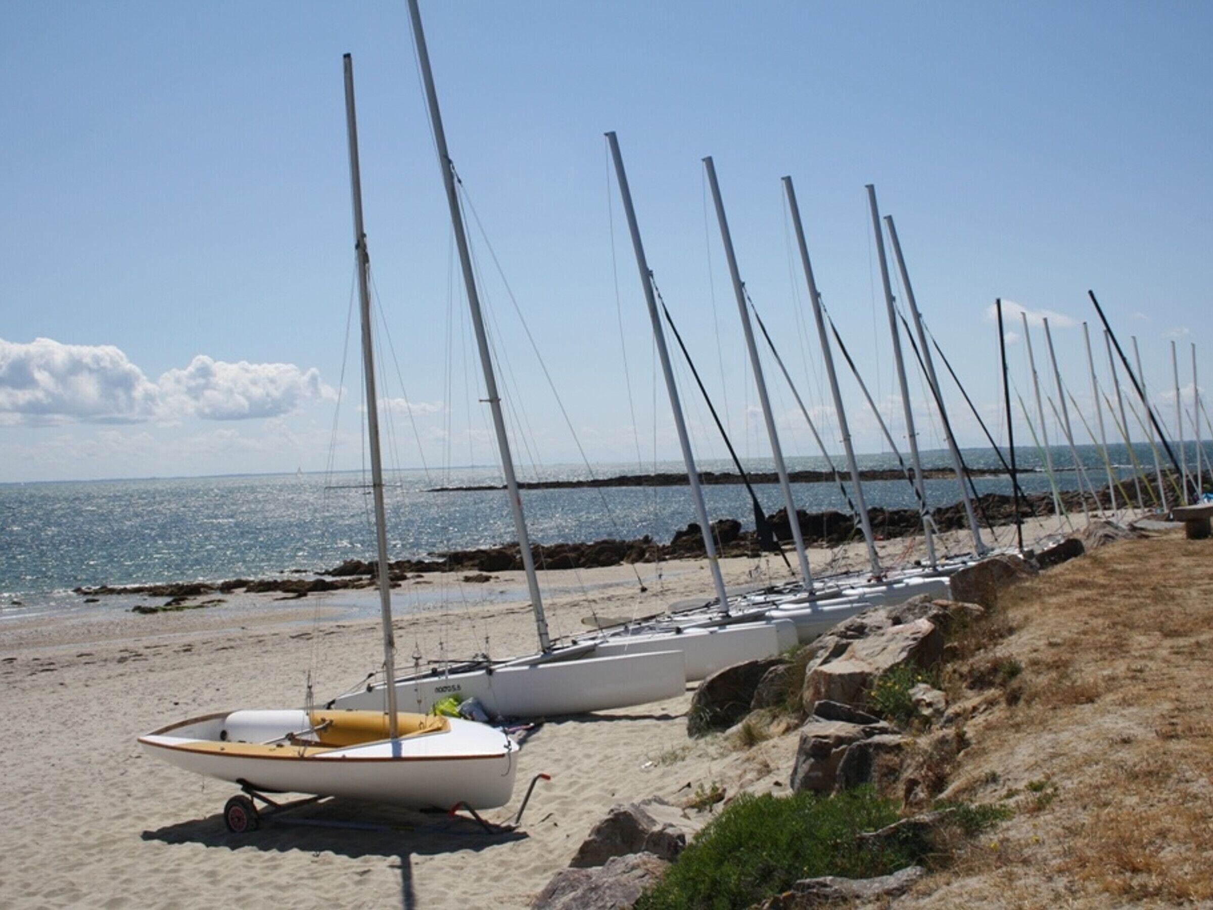 بالقرب من الشاطئ