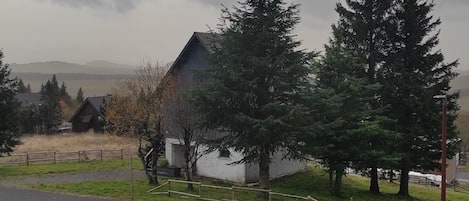 A rural landscape with a house, trees, and a road.