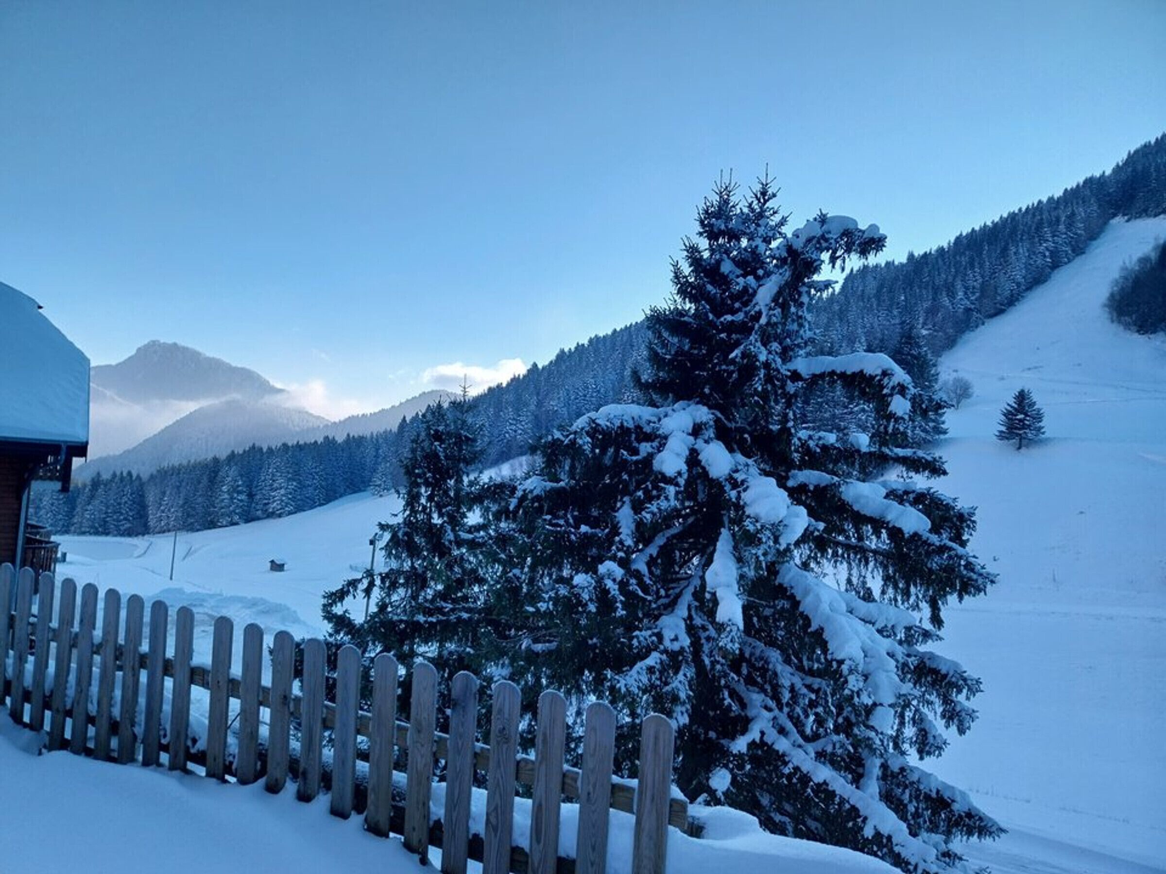 Schneebedeckte Landschaft mit Holzzaun, einem mit Schnee beladenen Baum und einem Berg im Hintergrund.