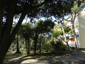 Property grounds - 3-room apartment, terrace, 4 people (Bormes-les-Mimosas)