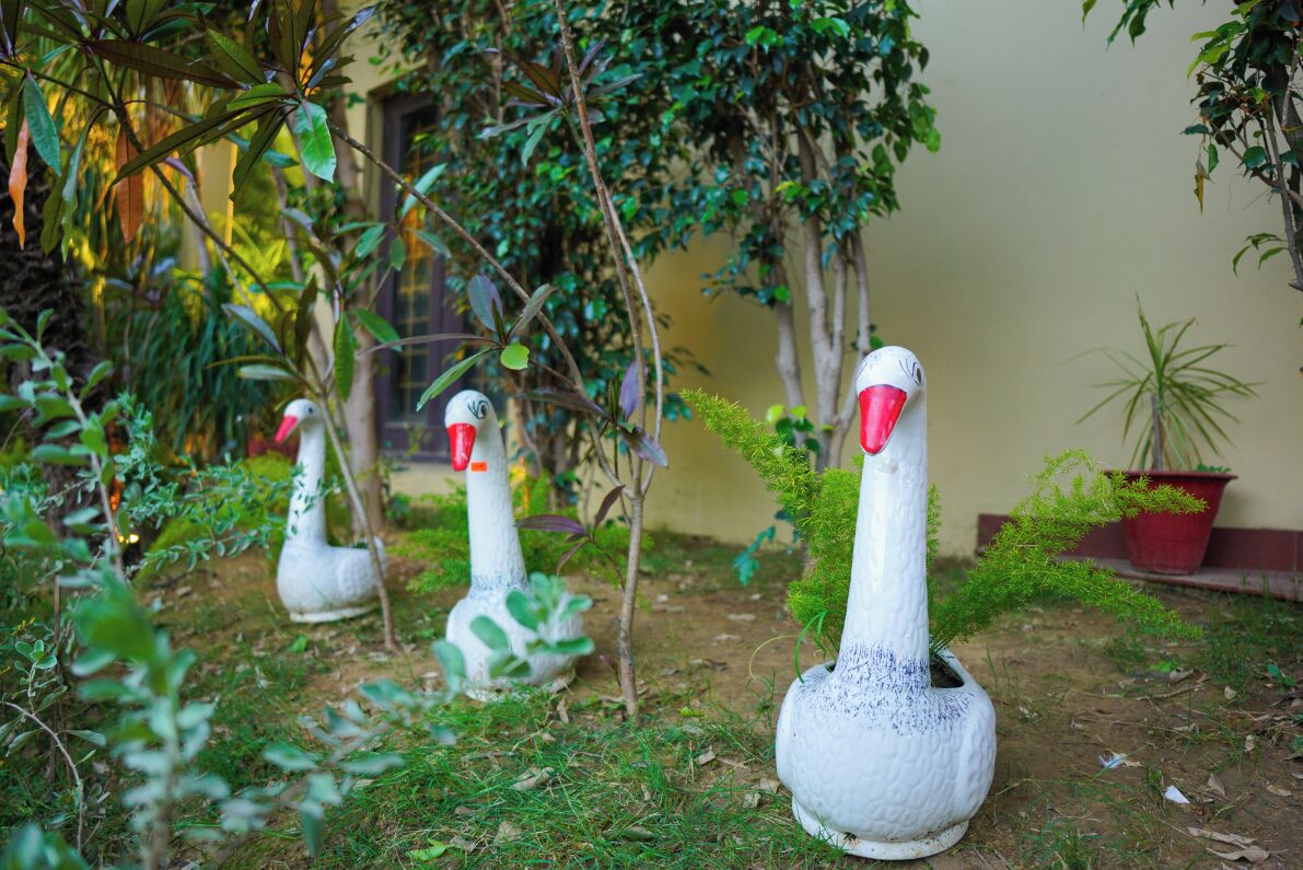 Three white swan sculptures in a garden with green foliage and a building in the background.
