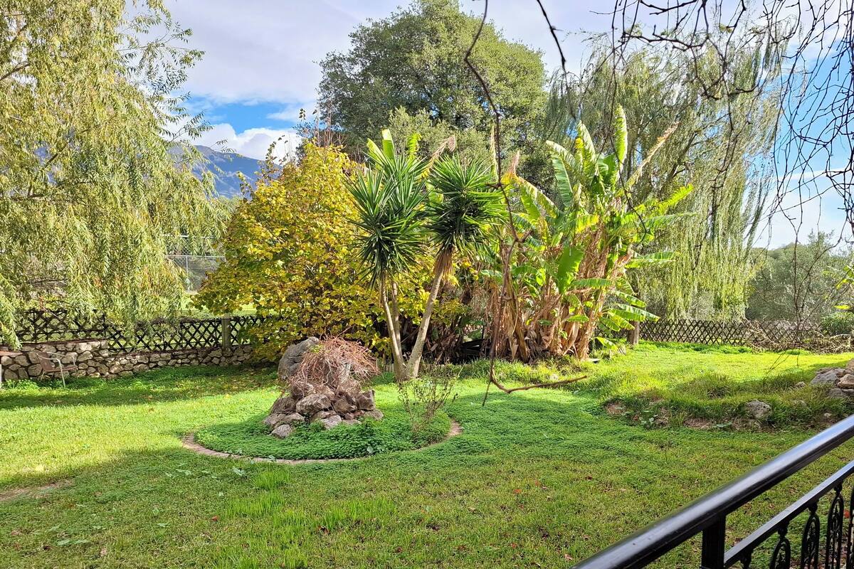 Apartamento, 1 habitación, patio | Vistas al jardín