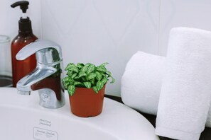 Artículos de tocador ecológicos, secador de pelo, pantuflas, toallas