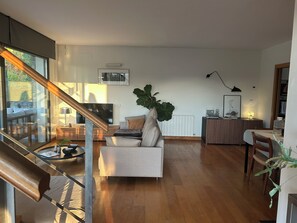 Smart TV, chimenea, libros y estéreo 