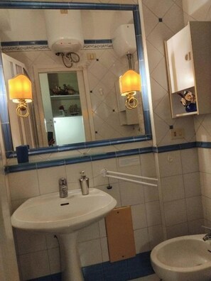 Een douche, een haardroger, een bidet, handdoeken