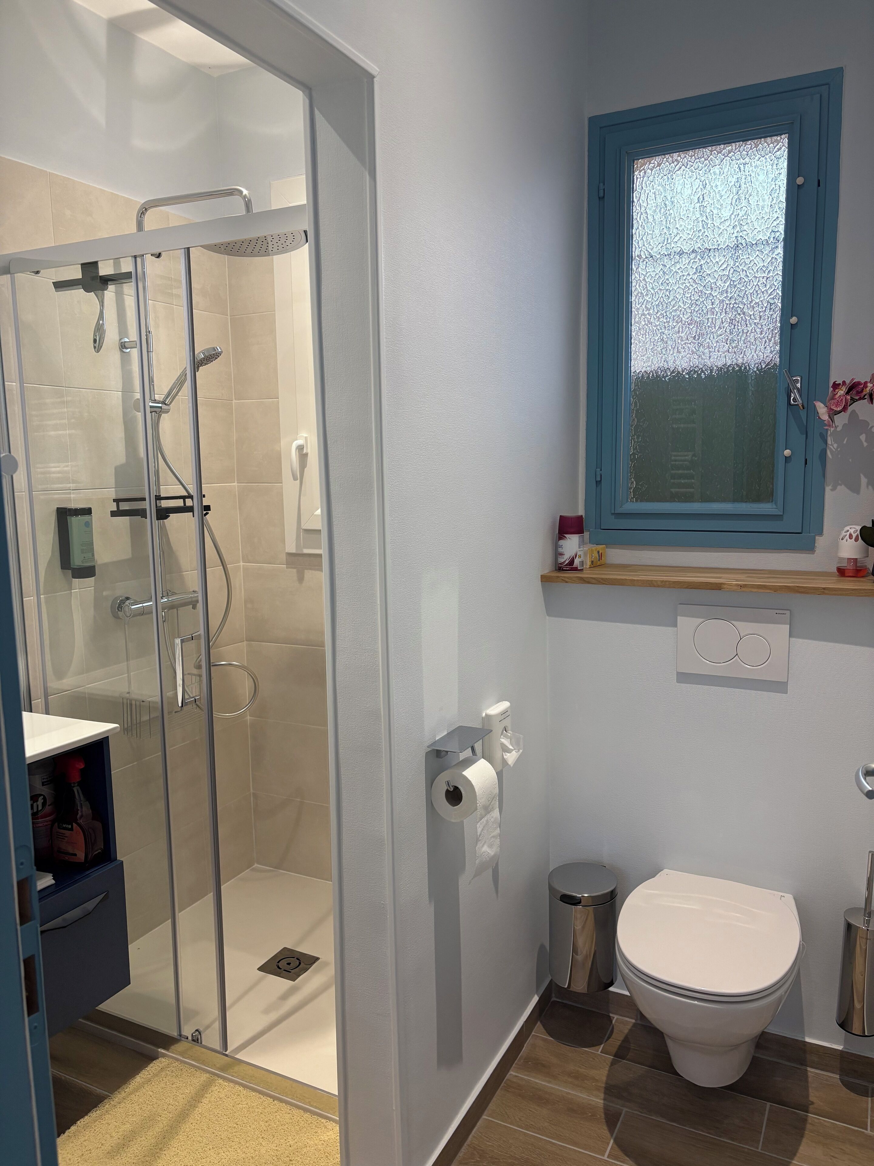 Shower, hair dryer, toilet paper