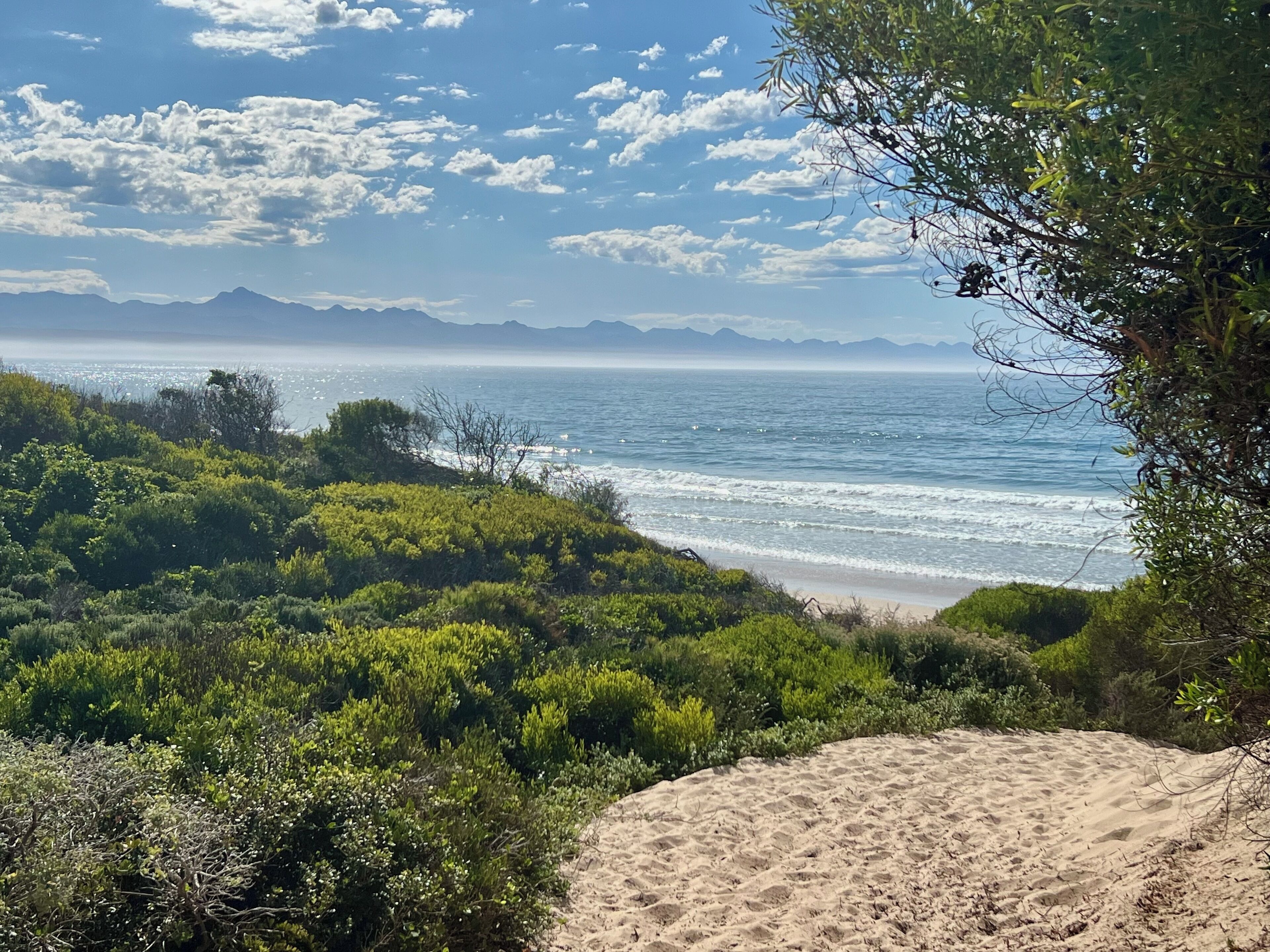 A coastal landscape with a sandy beach, dense green vegetation, and a view of the ocean and distant mountains.