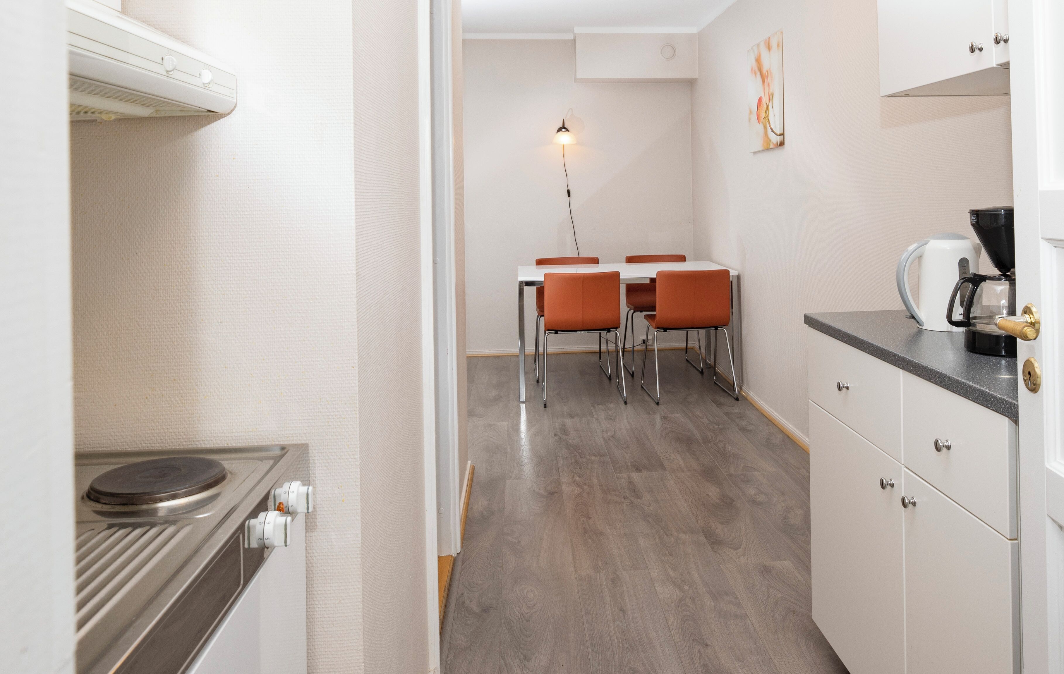 Basic Apartment, Lake View | Private kitchen | Microwave