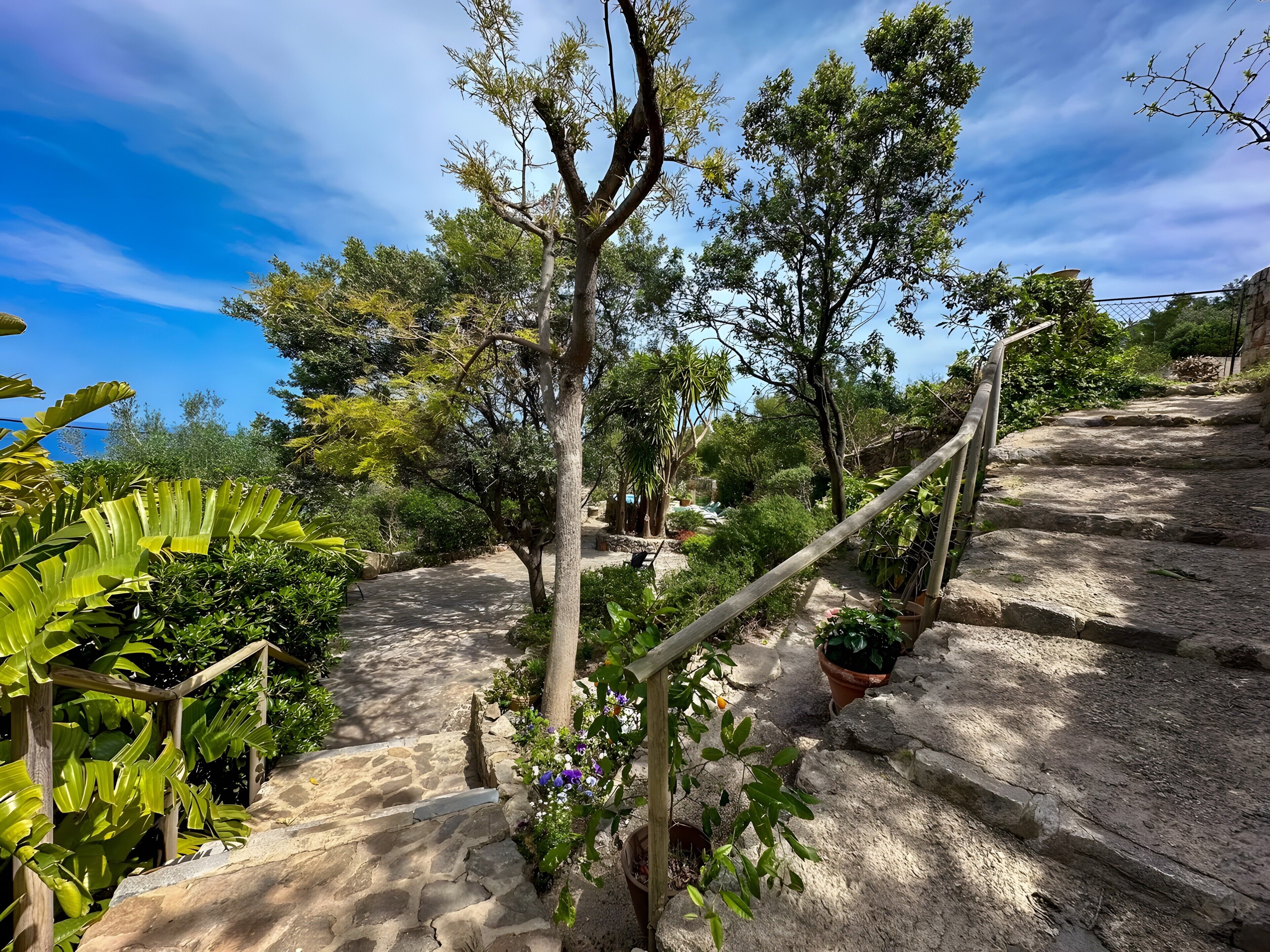 Jardines del alojamiento