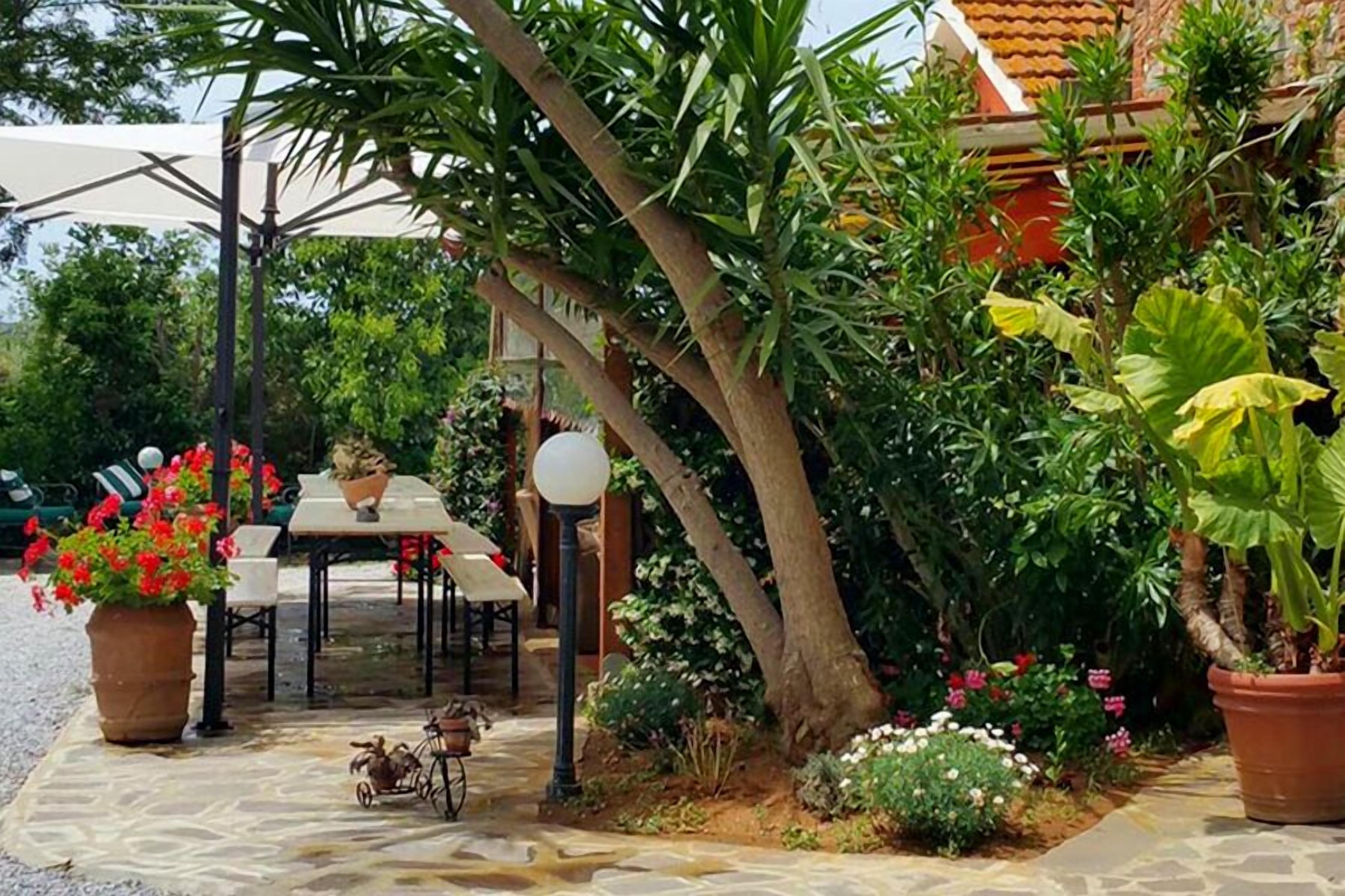 Un espace extérieur aménagé avec un sol en pierre, entouré de plantes en pot et agrémenté d’un petit vélo.
