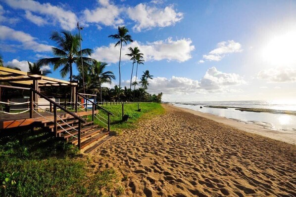 Apartment | Beach | On the beach, white sand, beach umbrellas
