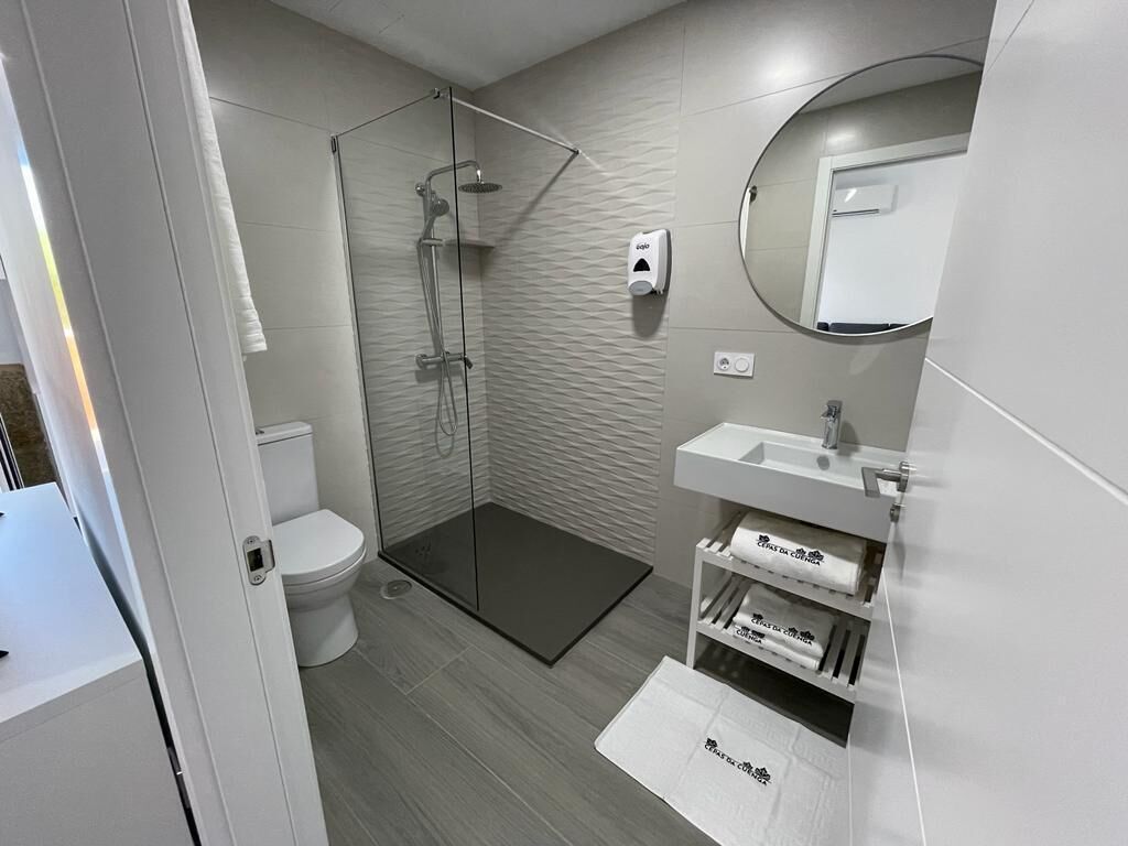 A modern bathroom with a glass shower enclosure, a white sink, and a mirror.