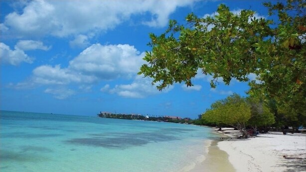 Una playa con agua turquesa cristalina, una orilla arenosa y una zona con vegetación.