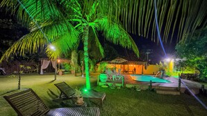 Ein Außenbereich bei Nacht mit Pool, Liegestühlen und einer Palme, beleuchtet mit grünem Licht.