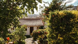 A courtyard with a tiled roof, surrounded by lush greenery and flowering plants. - La Selenita  (Sucre)