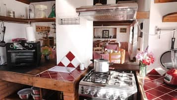 Großer Kühlschrank, Mikrowelle, Herdplatte, Geschirrspüler