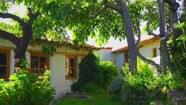A traditional house with a garden, stone pathway, and a large tree providing shade. - La Selenita  (Sucre)