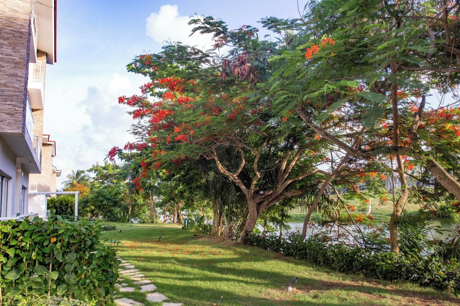 Áreas de la propiedad