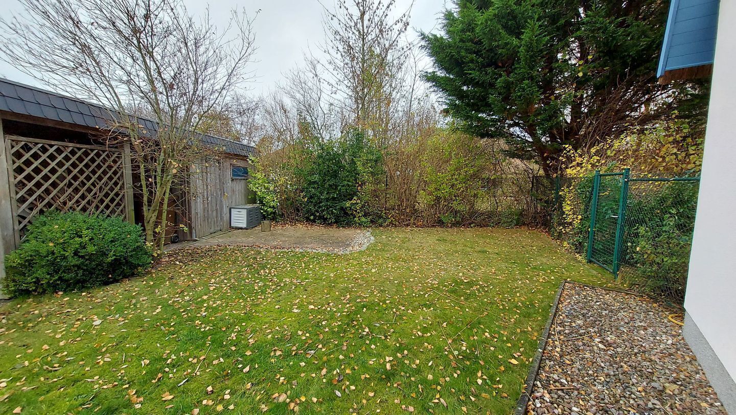 Ein Garten mit Rasen, einem Holzschuppen, einem grünen Zaun und einem Baum.
