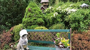 Eine Bank mit einer Hundfigur und einem Blumentopf.