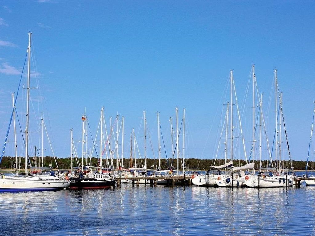 En havn med flere sejlbåde i havnen.