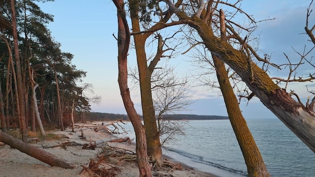 Beach - Vacation home zum Kranichblick - for families + dog - Zum Kranichblick: Relaxing (Garz OT Losentitz)