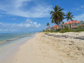 Een strand met een rij palmbomen en een gebouw met een rood dak.