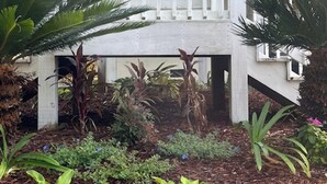 Ein Gebäude mit einem Schild, auf dem "BAYOU MINGALOW" steht, und einem überdachten Außenbereich mit Pflanzen und einer Palme.