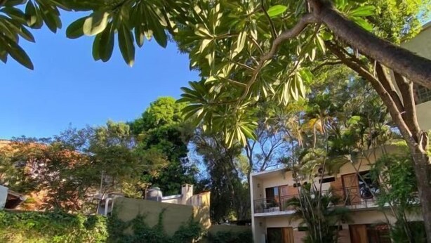 A pool with a stone border, surrounded by a well-maintained lawn and a tree. - De la Mora Hostal (Fernando De La Mora)