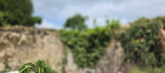 La Maison 20 - gîte for 15 people