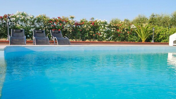 Una piscina azul cristalina con sillones de descanso y una siega de flores al fondo.