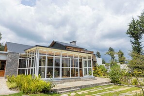 Een modern huis met een glazen veranda, stenen traptreden en een tuin met diverse planten.