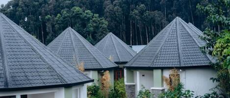 Chambre simple Standard, patio | Terrasse/patio