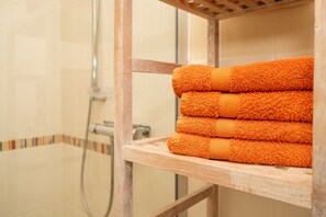 Ducha, secador de pelo, toallas