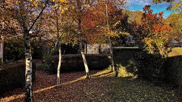 A garden with trees, a hedge, and a wooden fence.