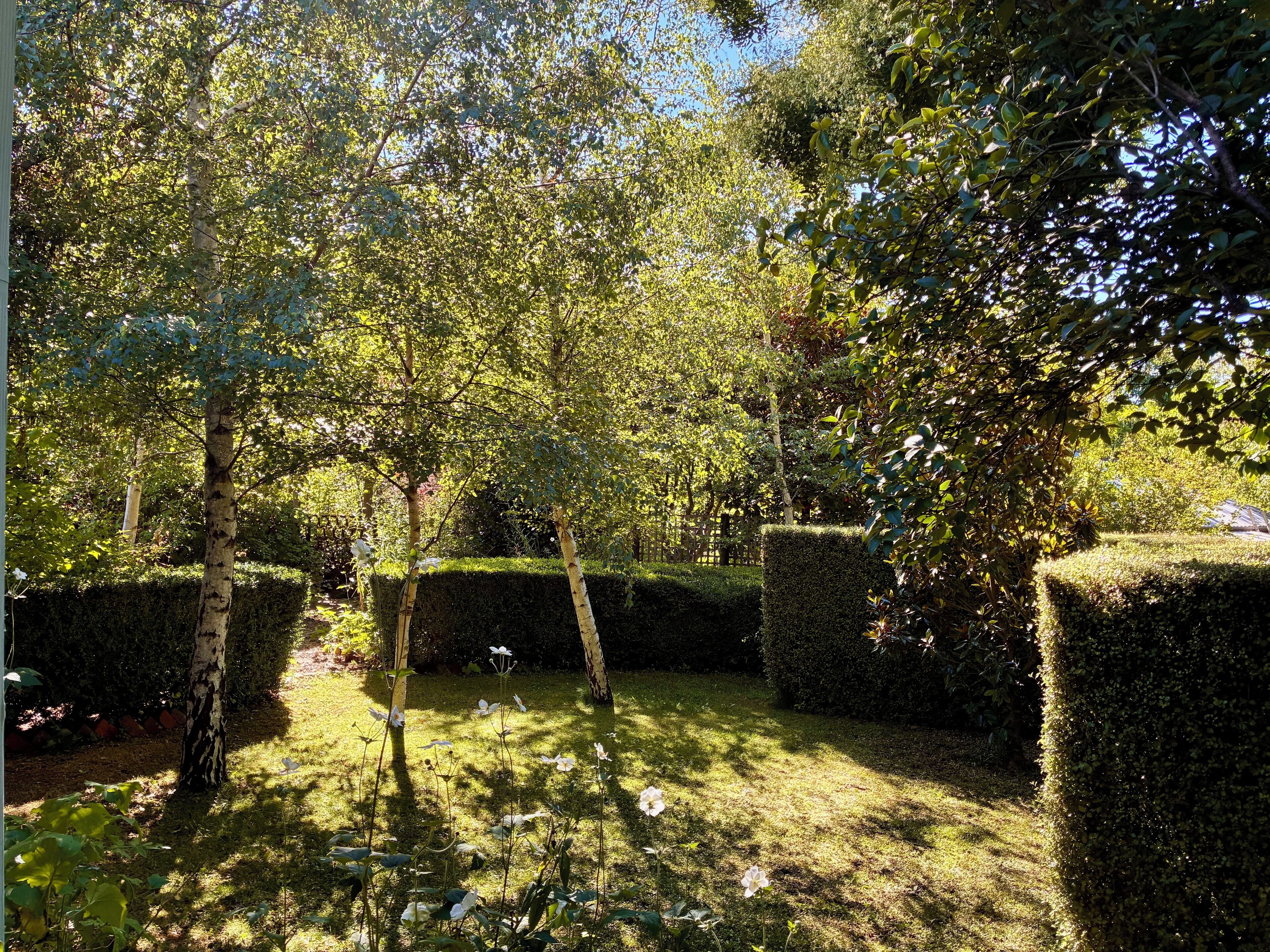 Jardines del alojamiento