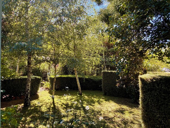 A garden with neatly trimmed hedges, a variety of trees, and a clear sky.