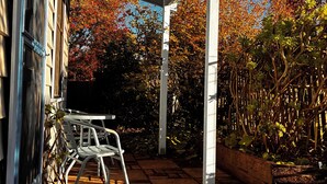 Une terrasse couverte avec une table et des chaises, une plante en pot et une vue sur des arbres aux feuilles d’automne.